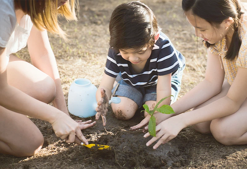 問題解決の苗を植える家族の写真