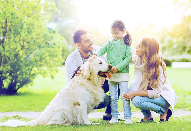 家族とペットの写真