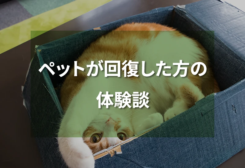 ペットが回復した方の体験談